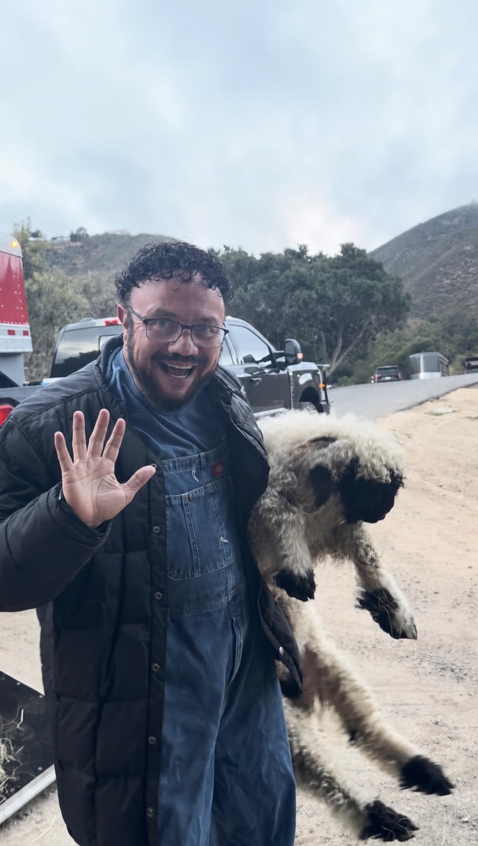 John carrying a Valais Blacknose sheep on arrival day at Monterey Valais